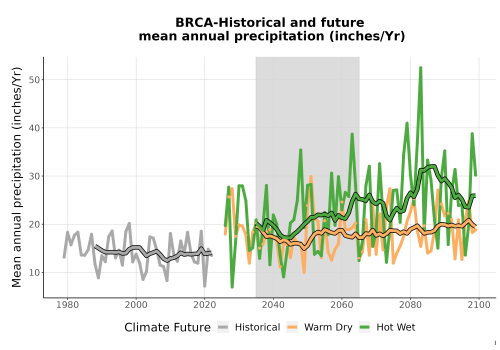 Thumbnail Precip_Avg_Ann_TS2100.png 